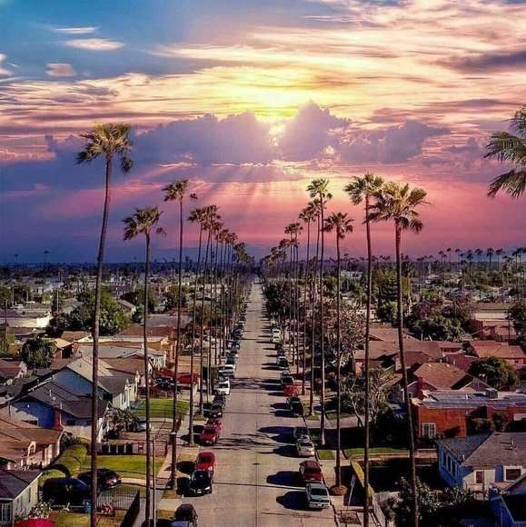 Meet your Posher, Kallie - Picture 1 of 1